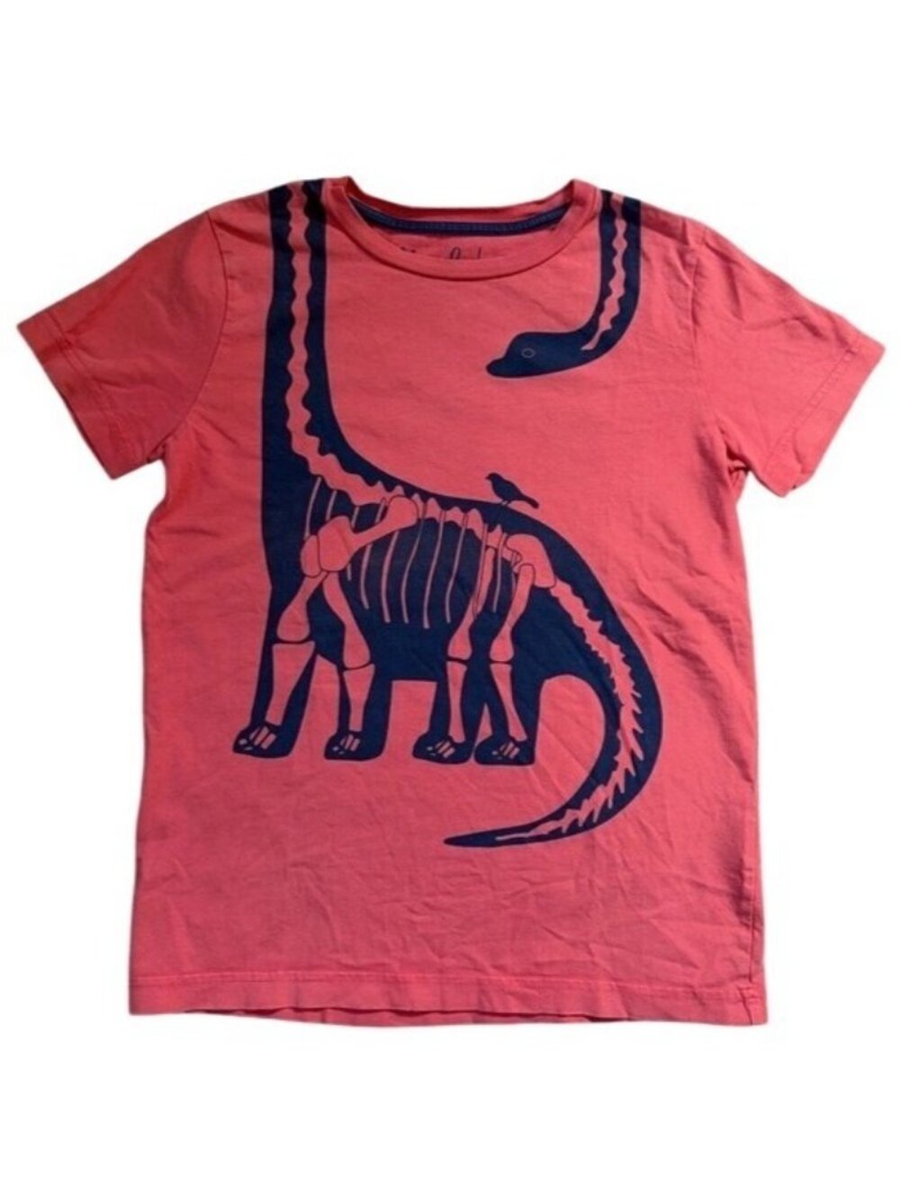 Mini Boden Dinosaur Graphic Short Sleeve T-Shirt 9-10Y Red Navy